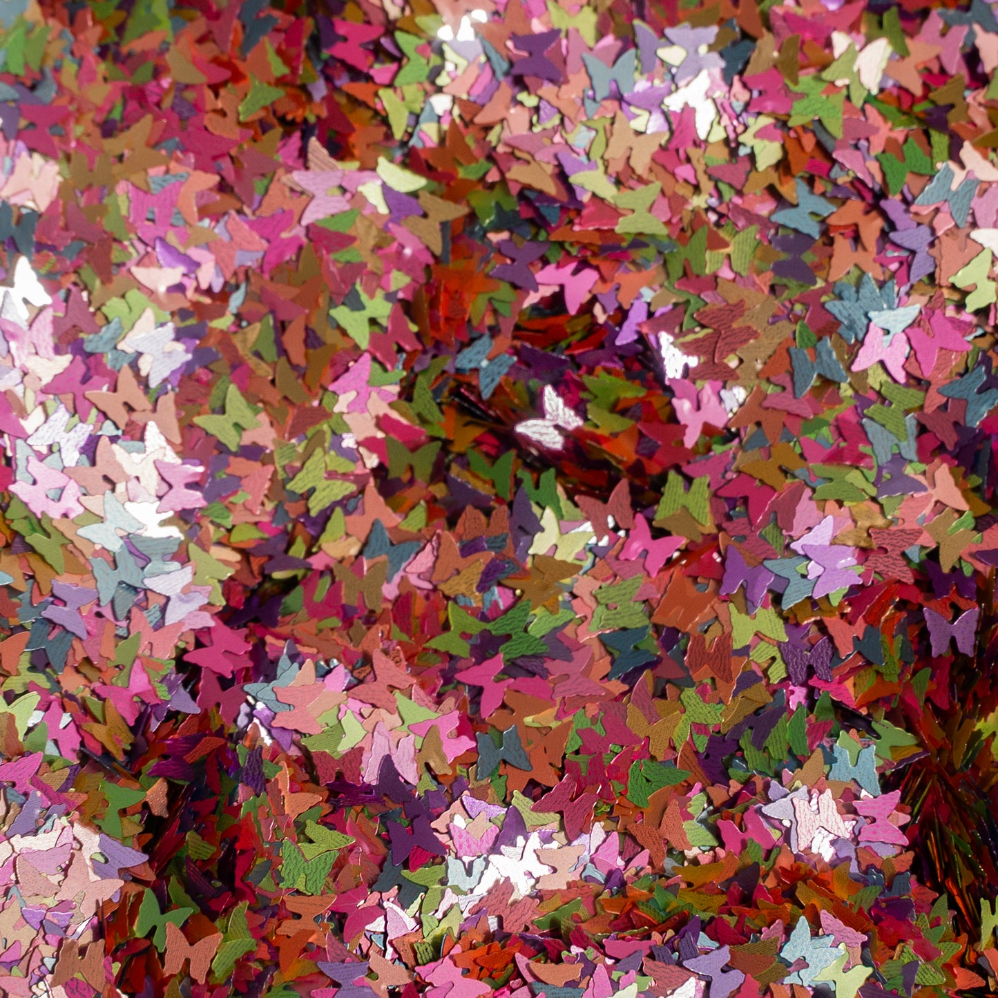 Mariposas multicolores