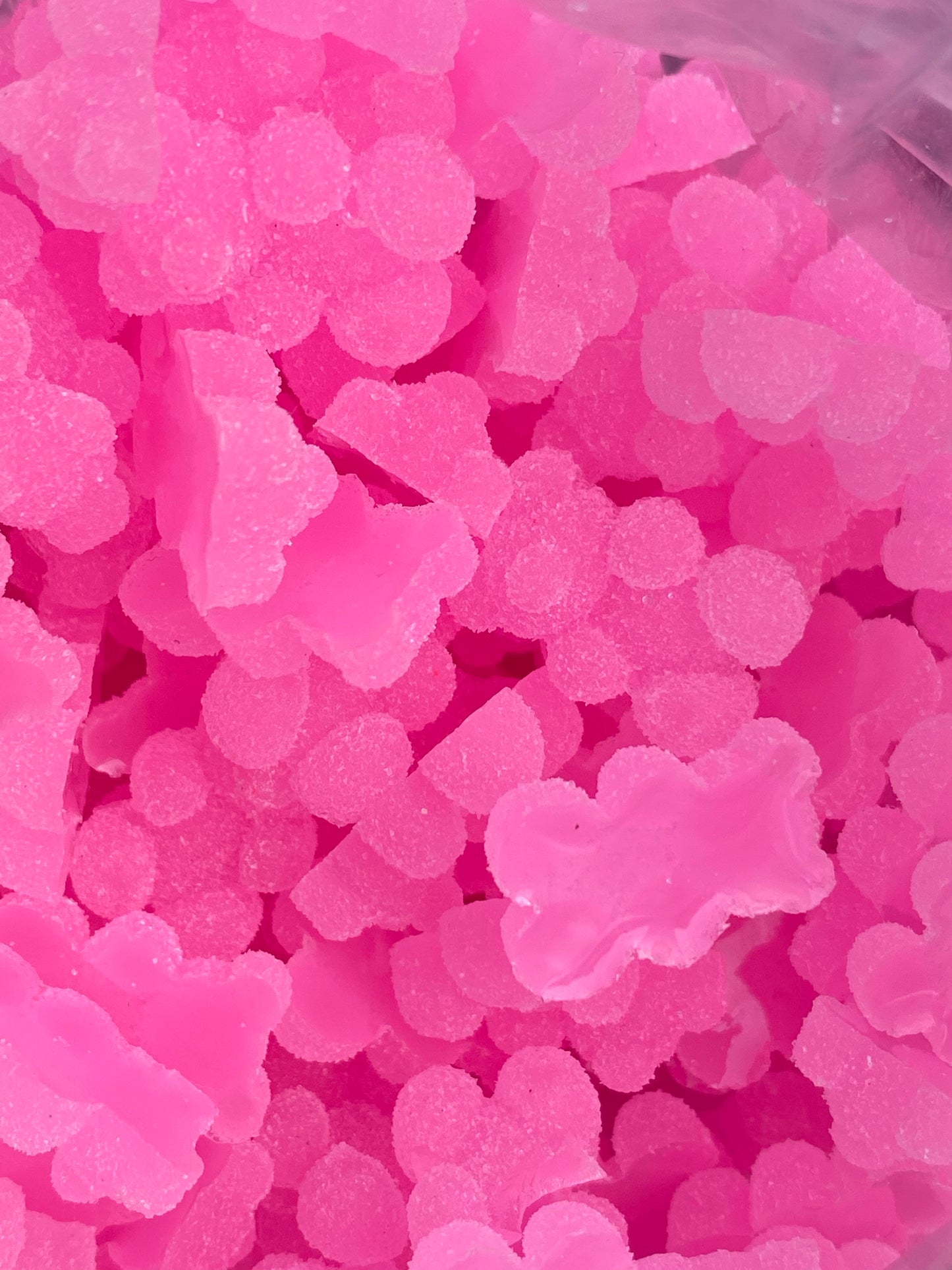 Sugar Bears