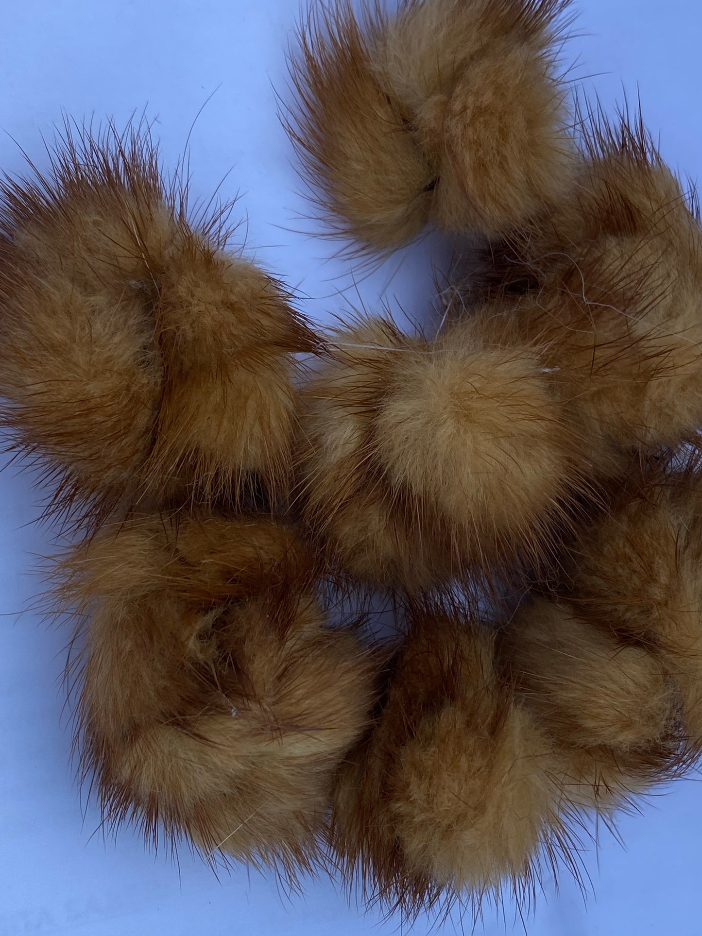 Pom Pom