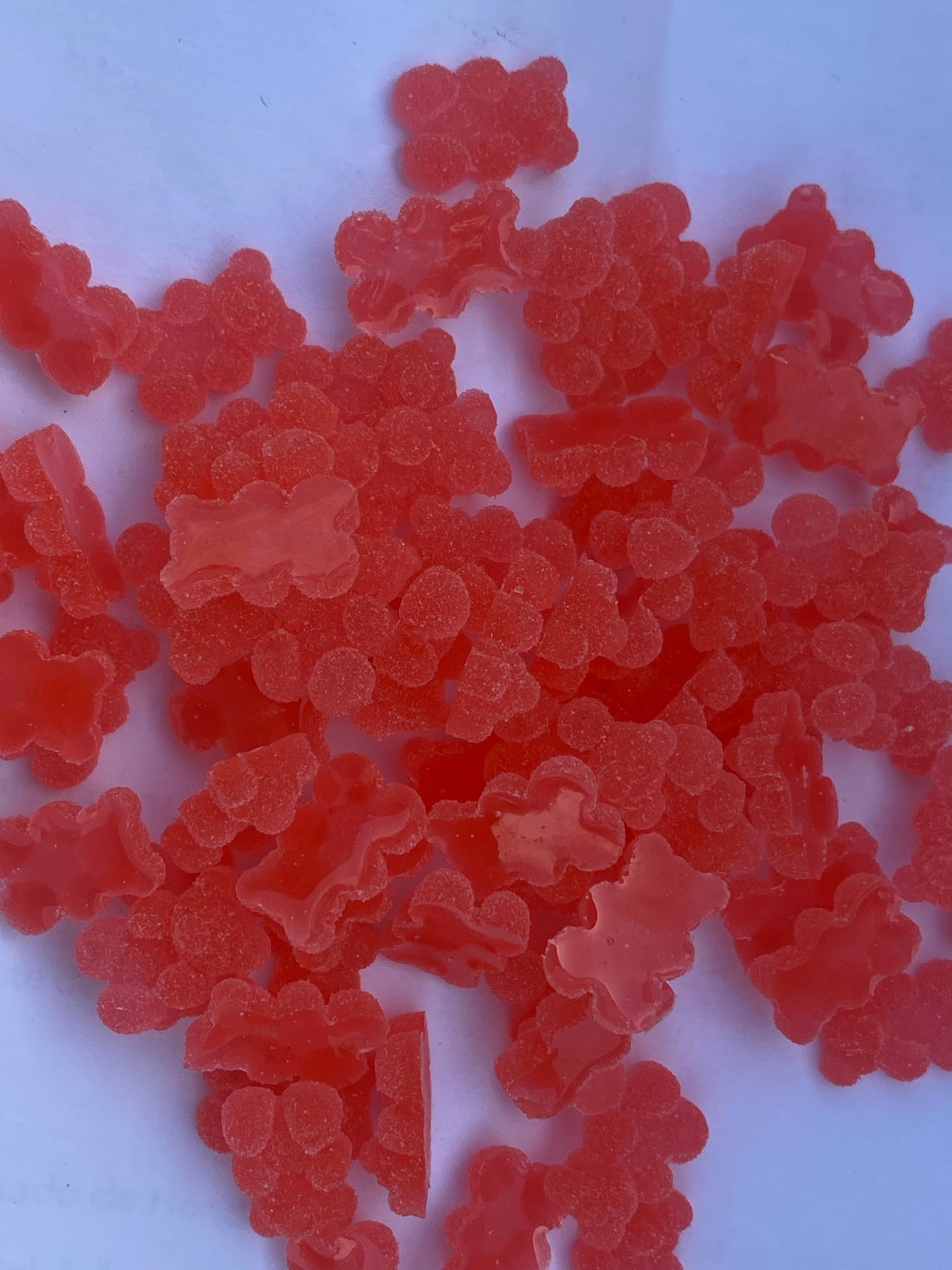 Sugar Bears