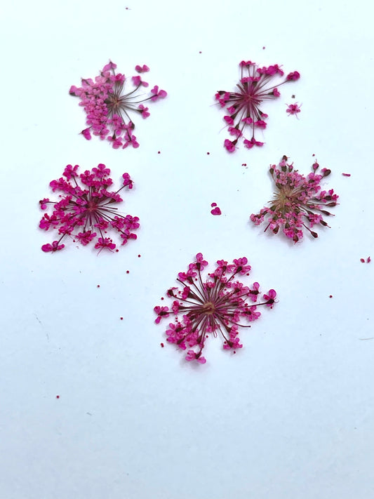 Dry flowers