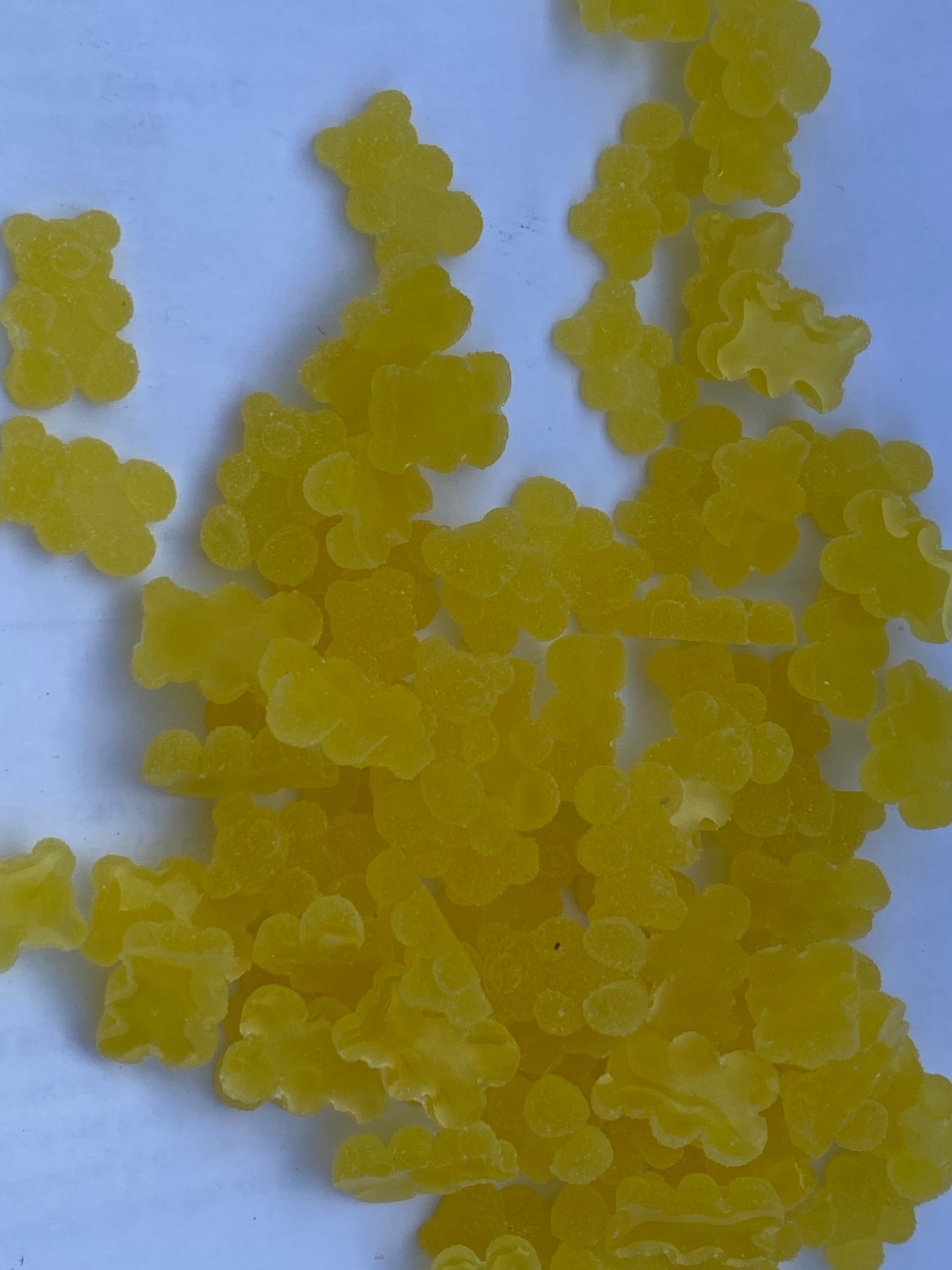 Sugar Bears