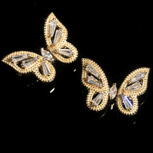 Big Butterfly