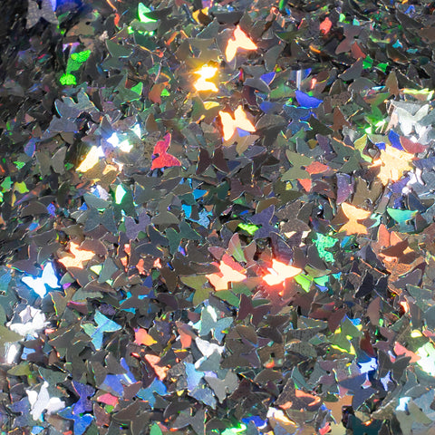 Holographic Butterflies