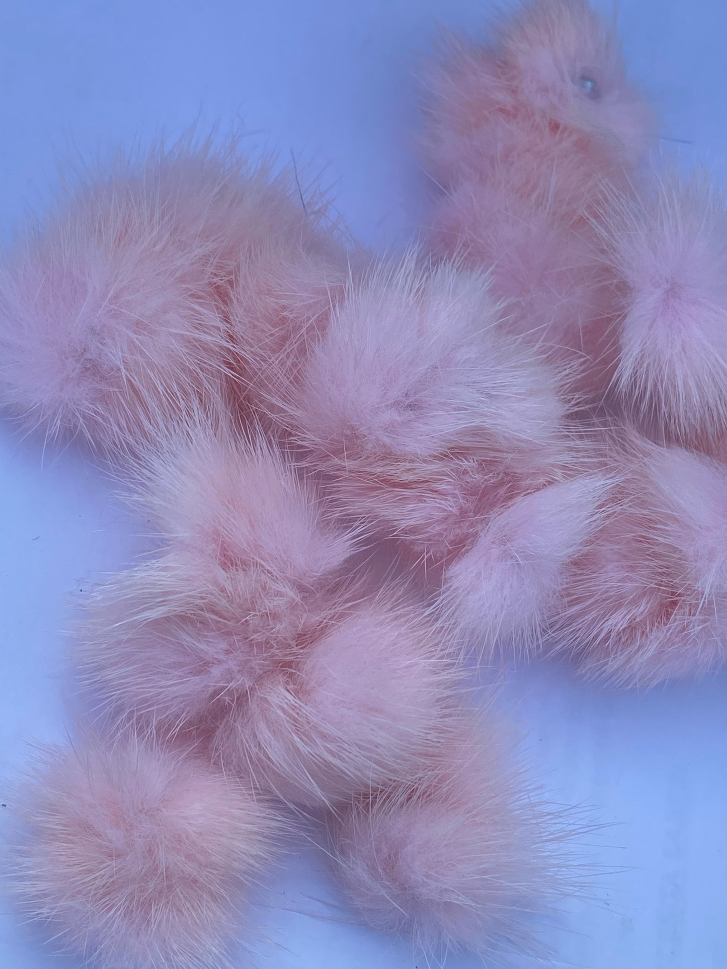 Pom Pom