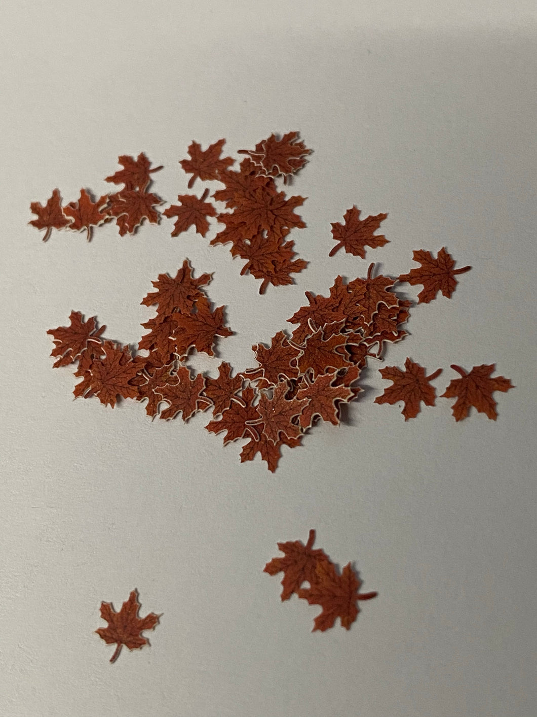 Leafs 01