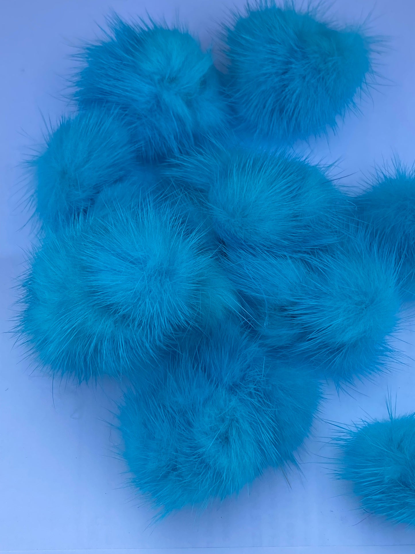 Pom Pom