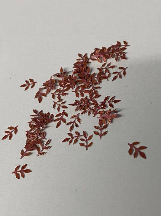 Leafs 008