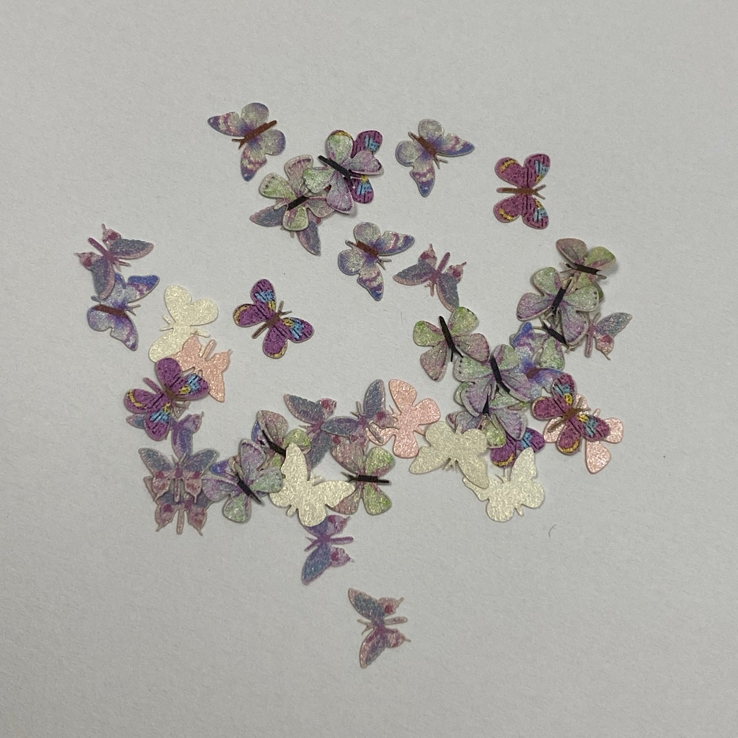 Mariposa 12
