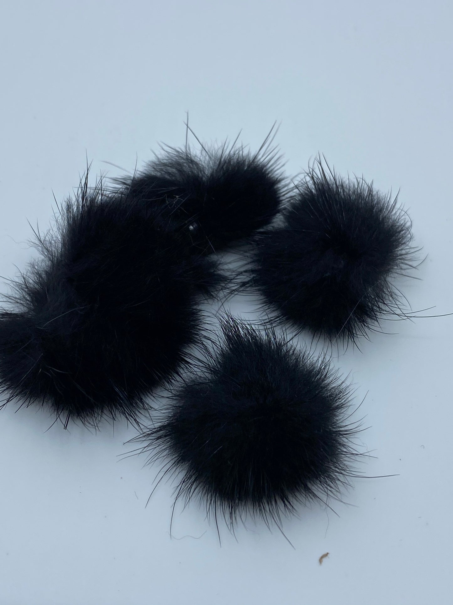 Pom Pom