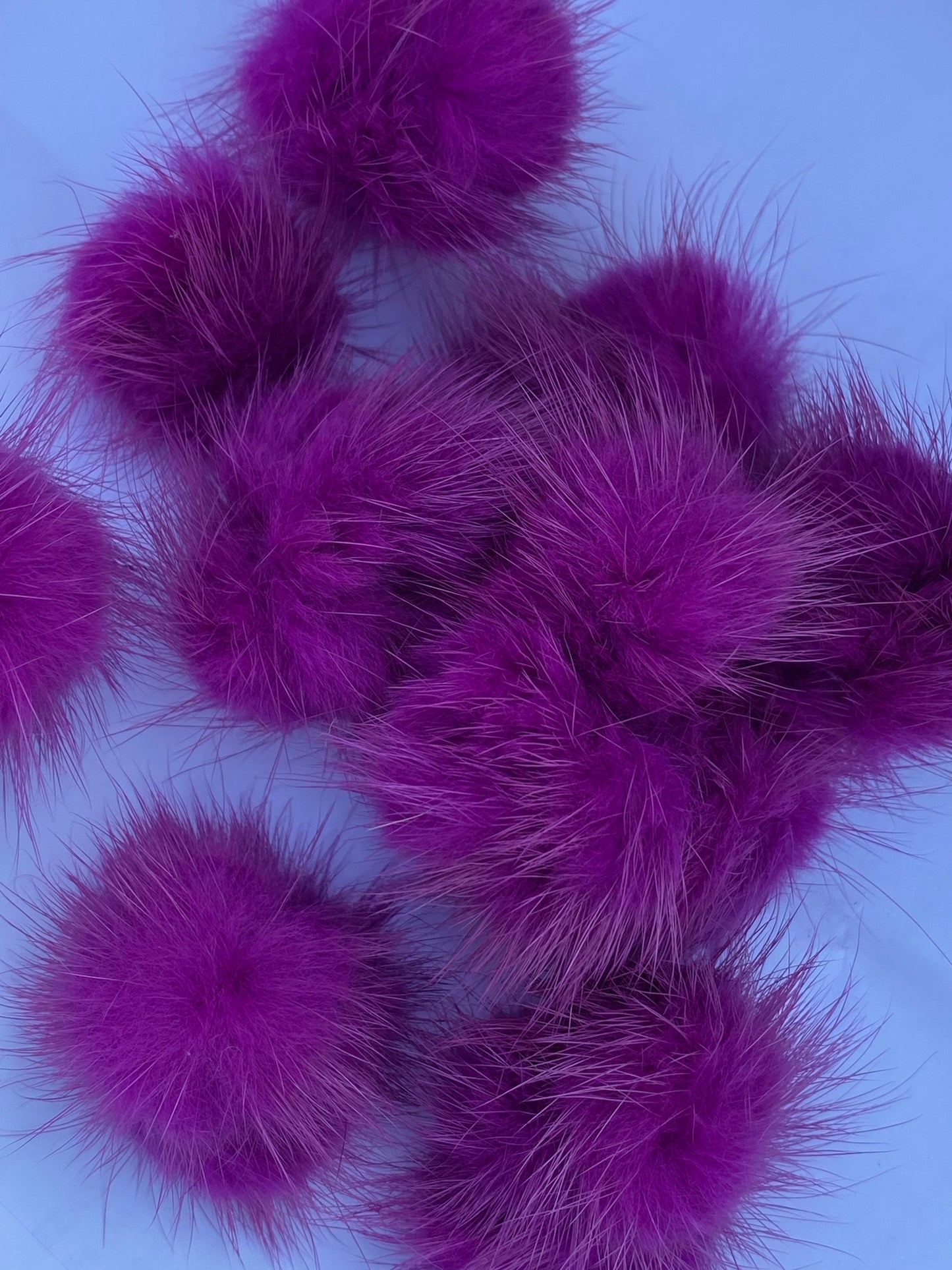 Pom Pom