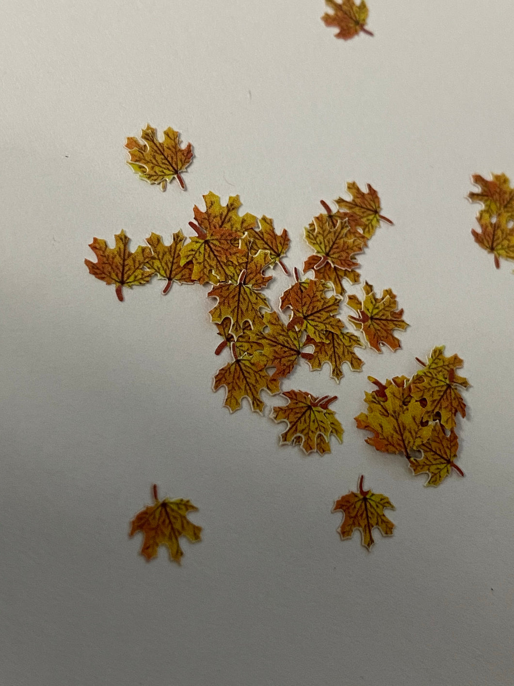 Leafs 002