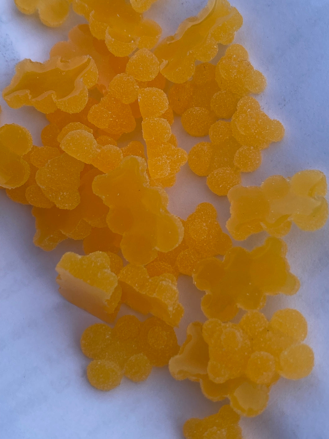 Sugar Bears