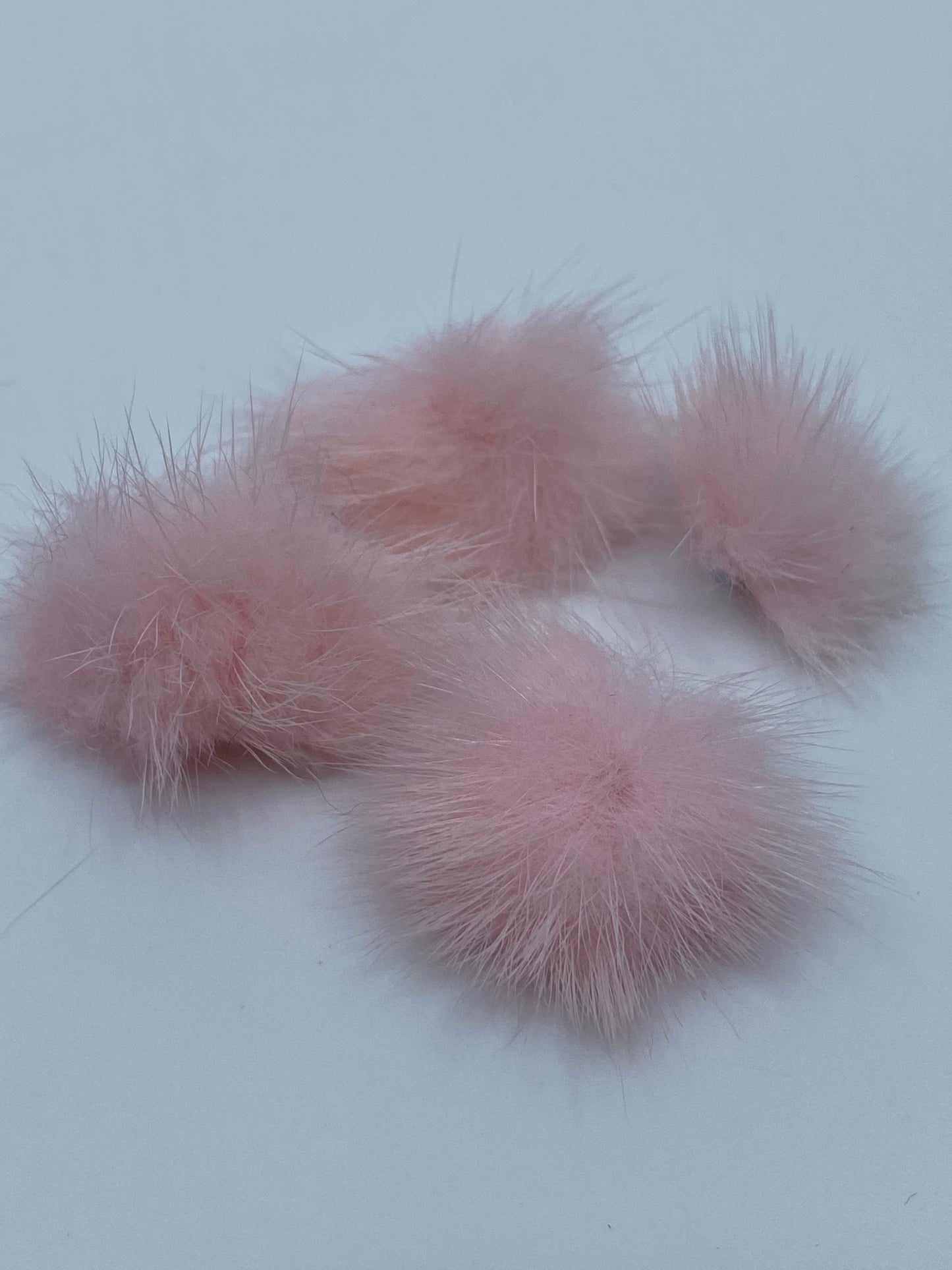 Pom Pom