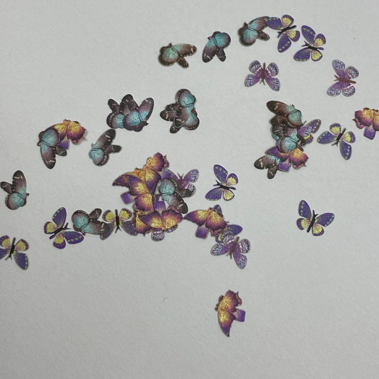 Mariposa 08