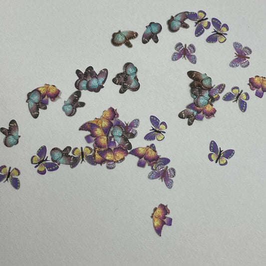 Butterfly 08